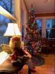 Holidays at Saugatuck Lodge